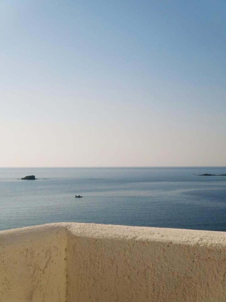 פטרה Birds Bay Resort מראה חיצוני תמונה