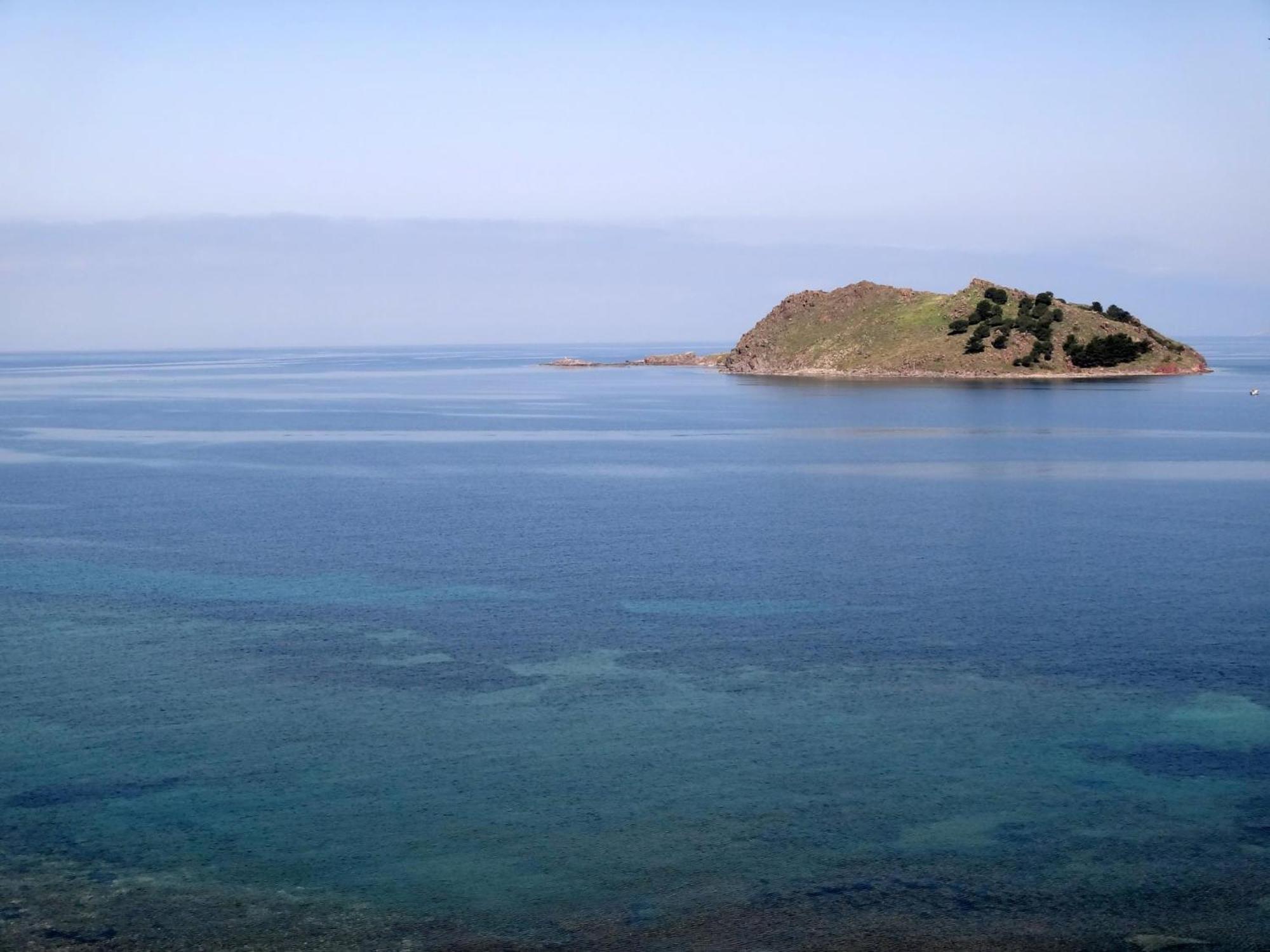 פטרה Birds Bay Resort מראה חיצוני תמונה