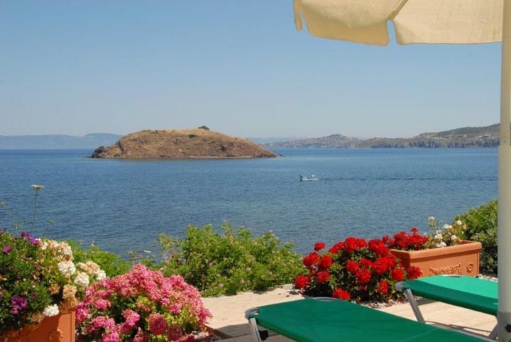 פטרה Birds Bay Resort מראה חיצוני תמונה