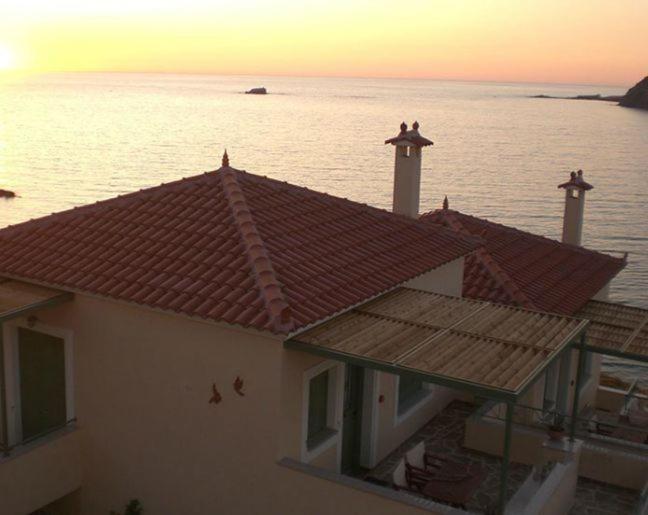 פטרה Birds Bay Resort מראה חיצוני תמונה