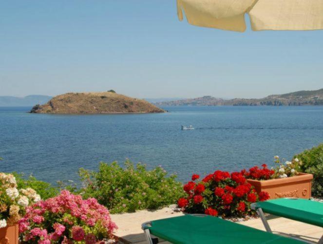 פטרה Birds Bay Resort חדר תמונה