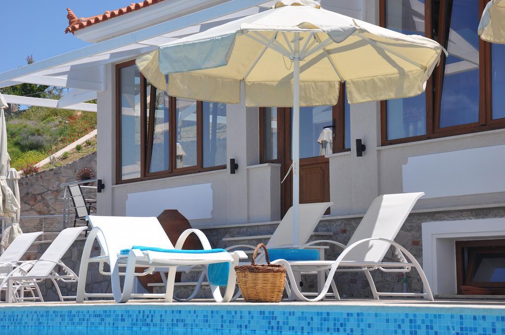 פטרה Birds Bay Resort מראה חיצוני תמונה