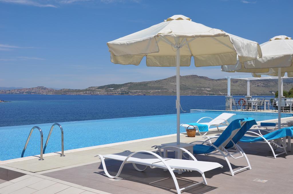 פטרה Birds Bay Resort מראה חיצוני תמונה