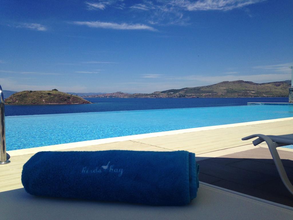 פטרה Birds Bay Resort מראה חיצוני תמונה